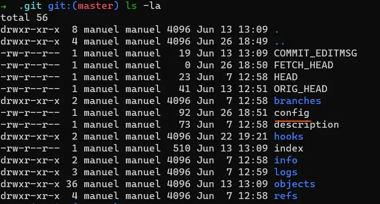 File config nella git directory